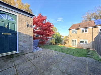 Picture 20